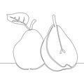 Continuous line drawing Pears fruits icon vector illustration concept