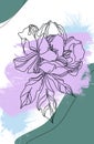 Continuous line drawing of peony flower on viridian and lavender background
