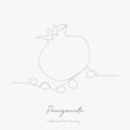 Continuous line drawing. pomegranate. simple vector illustration. pomegranate concept hand drawing sketch line
