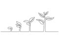 Continuous line drawing of step of tree growth. Plants grow isolated on white background or plant seed, growing and cultivation Royalty Free Stock Photo