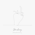 Continuous line drawing. strawberry. simple vector illustration. strawberry concept hand drawing sketch line