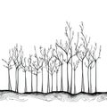 Continuous Line Drawing of Tree Growth Steps for Plant Lovers.