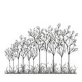 Continuous Line Drawing of Tree Growth Steps for Plant Lovers.