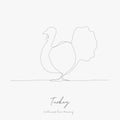 Continuous line drawing. turkey. simple vector illustration. turkey concept hand drawing sketch line