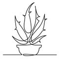 Continuous Line Drawing of Vector Aloe Vera logo icon for natural organic product package label. Isolated succulent one Royalty Free Stock Photo