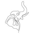 Continuous line elephant head with white background