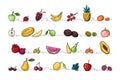 Continuous line fruits. Tropical food. Monoline sketch border of exotic natural products set. Pineapple and papaya Royalty Free Stock Photo