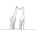 Continuous line giraffe couple. Vector giraffe isolated on white background.