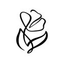 Continuous line hand drawing calligraphic vector flower concept logo cosmetic. Scandinavian spring floral design element in