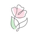 Continuous line hand drawing calligraphic vector flower rose concept logo beauty. Monoline spring floral design element