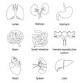 Continuous line Human organs set Royalty Free Stock Photo