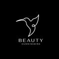 Continuous line hummingbird fly logo design