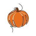 Continuous line illustration, autumn pumpkin illustration. autumn and harvest concept