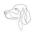 Continuous line Irish Setter. Single line minimal style Setter dog vector illustration. Portrait Royalty Free Stock Photo