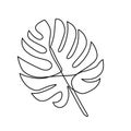 Continuous line monstera leaf. Tropical leaves contour drawing