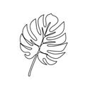 Continuous line monstera leaf. Tropical leaves contour drawing