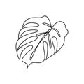 Continuous line monstera leaf. Tropical leaves contour drawing