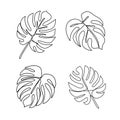 Continuous line monstera leaf. Tropical leaves contour drawing