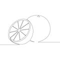 Continuous line Orange, citrus tropical fruit . Vector illustration.