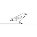 Continuous line Raven isolated on white background. Vector illustration.