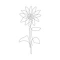 Continuous line sunflower logo. Sunflower self-drawing line vector illustration.