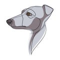 Continuous line Whippet. Single line minimal style English Whippet or Snap dog vector illustration. Portrait