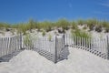 Continuous Lines of Beach Fence, with Beach Grass and Blue Sky Royalty Free Stock Photo