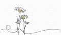 Continuous one line drawing of beautiful wild flowers chamomile vector design. Single line art of daisy on transparent background Royalty Free Stock Photo
