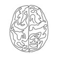 Continuous one line drawing brain anatomy medical theme. Isolated on white background vector illustration minimalism design Royalty Free Stock Photo