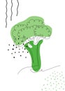 Continuous one line drawing broccoli. Vector illustration. Black line art on white background with colorful spots and