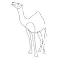 Continuous one line drawing of camel animal. Drawing by hand with a black line on a white background. Vector Royalty Free Stock Photo