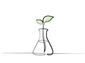 Chemical lab retort with sprout of plant Royalty Free Stock Photo