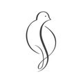 Continuous one line drawing dove bird. Flying pigeon logo. Black and white vector illustration. Concept for icon, card Royalty Free Stock Photo