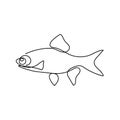 Continuous one line drawing fish. Hand drawn minimalism style. vector illustration. Black and white