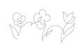 Continuous one line drawing flowers. Black and white vector illustration. Concept for logo card, banner, poster, flyer Royalty Free Stock Photo