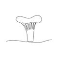 Continuous one line drawing of mushroom chanterelle. Vector illustration