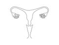 Continuous one line drawing of Ovarium Organ. Human ovarium line art drawing vector illustration Royalty Free Stock Photo