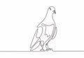 Continuous one line drawing. Pigeon animal bird logo. Black and white vector illustration. Concept for logo, card, banner, poster