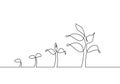 Continuous one line drawing Plant growth process. Plants grow isolated on white background or plant seed, growing Royalty Free Stock Photo
