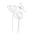 Continuous one line drawing poppy and insect. Butterfly butterfly flying over poppy flowers. Abstract hand drawn flowers Royalty Free Stock Photo