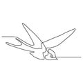 continuous one line drawing of swallow bird flying minimalism