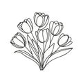 Continuous one line drawing tulips. Spring concept. Single line draw design vector illustration. Royalty Free Stock Photo