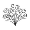 Continuous one line drawing tulips. Spring flowers concept. Single line draw design vector illustration Royalty Free Stock Photo