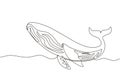 Continuous one line drawing wild whale fish swimming in sea life. Marine animal digital concept. Blue whale and scuba diver under