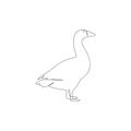 Continuous one line goose . Continuous line drawing of poultry, domestic animal. Hand drawn minimalism style vector
