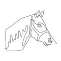 Continuous one line horse head minimalist design vector illustration minimalism style Royalty Free Stock Photo