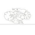 Continuous single drawn line art doodle two boiled tiger prawns Royalty Free Stock Photo