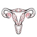 Contour anatomical sketch of the uterus. Healthy female body. Woman power. Uterus with tube and ovaries.