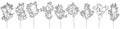 Contour of beautiful trees, set. Ash young trees, lilac. Seedling for landscaping. Vector illustration