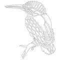 Contour bird Kingfisher sitting on a branch antistress coloring drawn by various lines in a flat style. Sketch for tattoo, logo